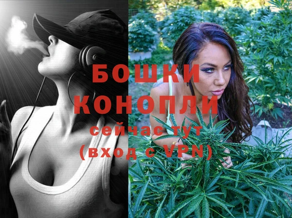 сатива Бугульма
