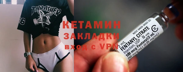 твердый Бородино
