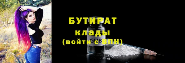 твердый Бородино