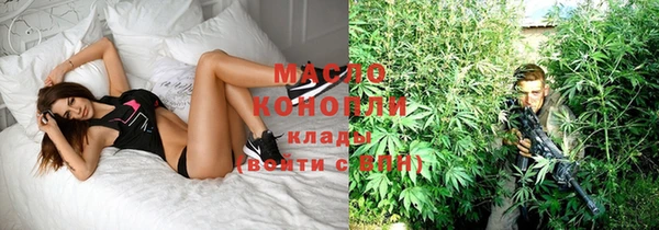 твердый Бородино