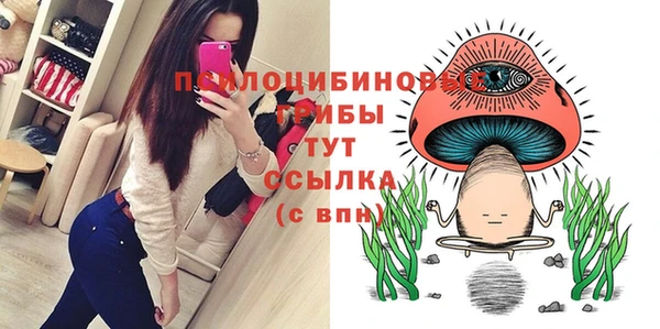 spice Слюдянка