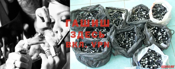 твердый Бородино