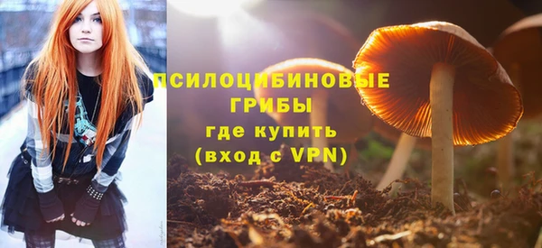 сатива Бугульма